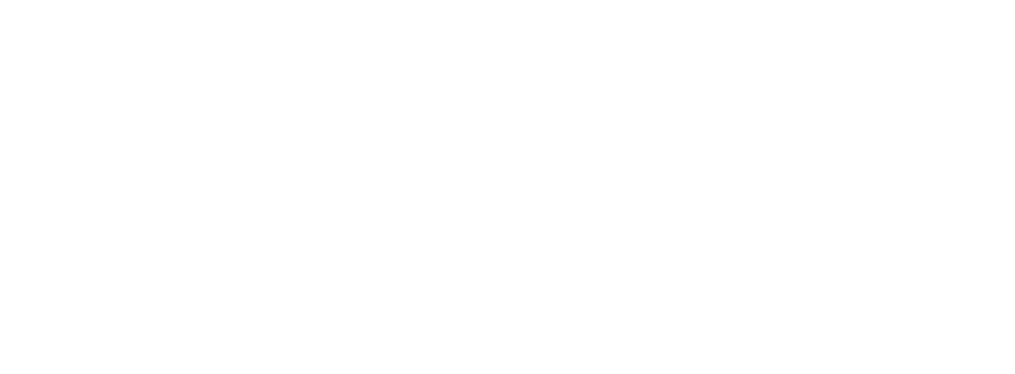 logo naruTek